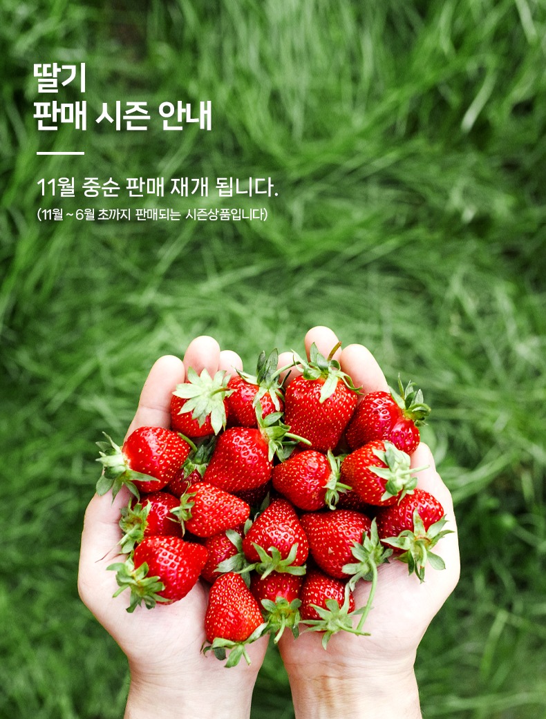 notice_seasonOFF_딸기.jpg
