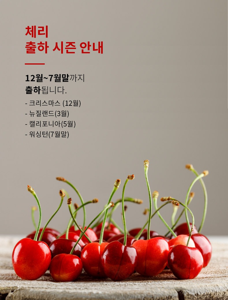 no_F0004499_과일 체리(칠레).jpg
