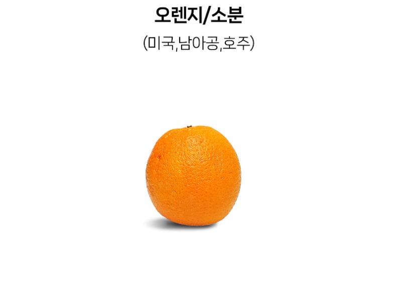 de_X0004661_오렌지소분.jpg