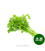 <시장상품>특수야채/고수(소분)kg