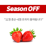 <SeasonOFF>과일/딸기(3*4/대/약500g)팩