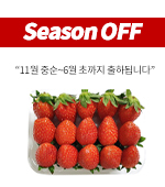 <SeasonOFF><시장상품>과일/딸기(3*5/중/약500g)팩