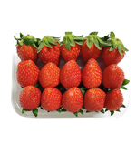 <시장상품>과일/딸기(3*5/중/약500g)팩