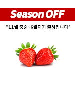 <SeasonOFF><시장상품>과일/딸기(3*5/중/약500g)팩